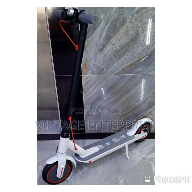 *Adult Electric Scooter*