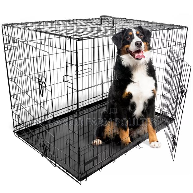 Dog Crates Mature - main view
