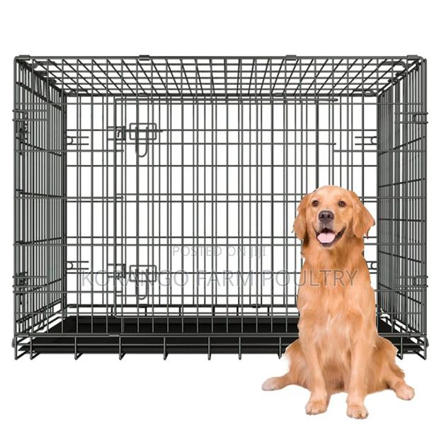 Mature German Shepherd Cages - main view