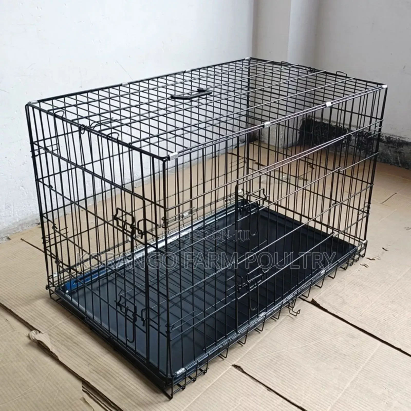 Mature Dog Kennel
