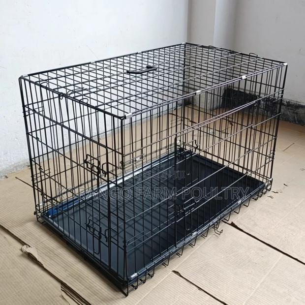 Mature Dog Kennel - main view