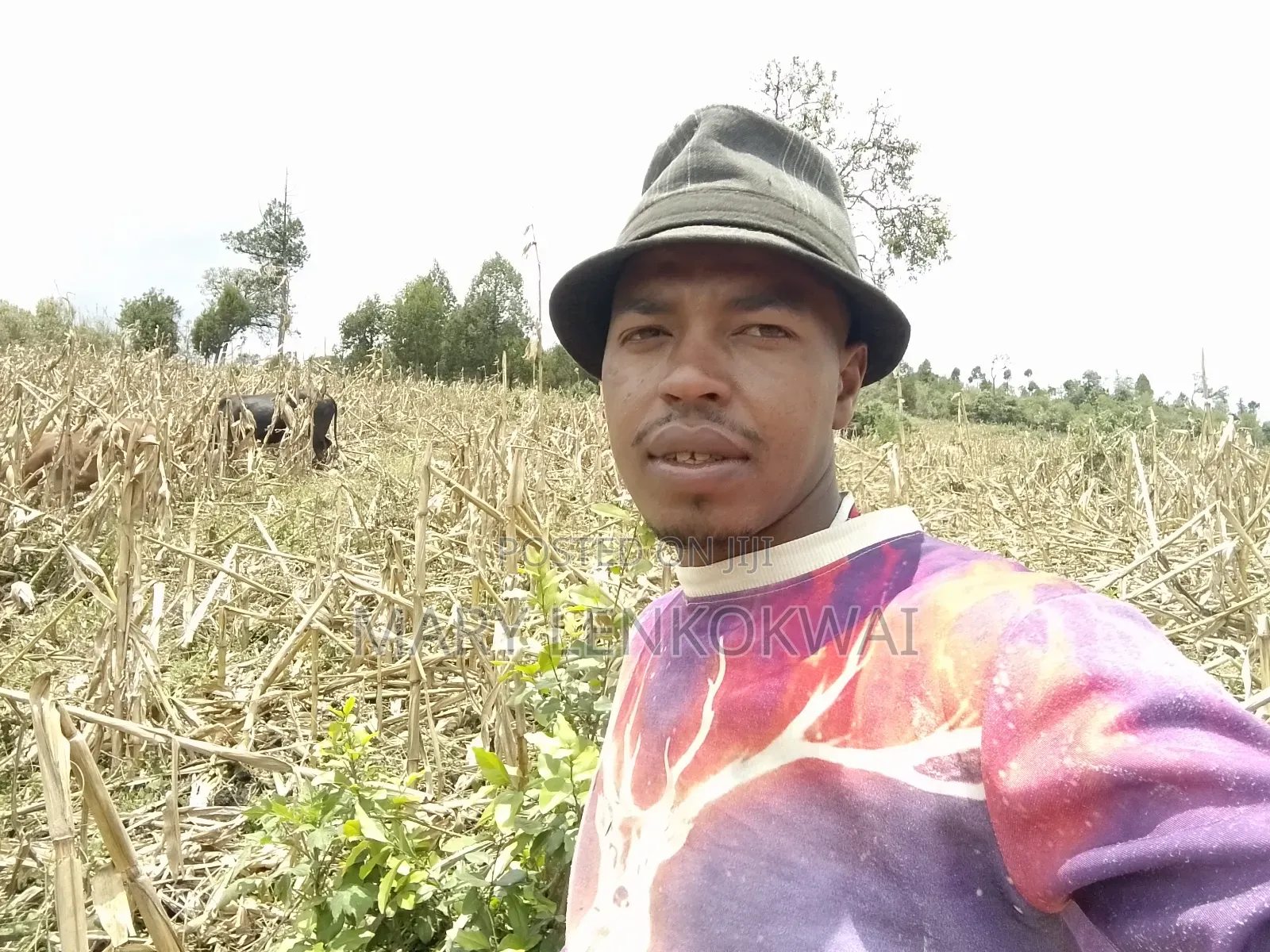 Nicholas Lenkokwai