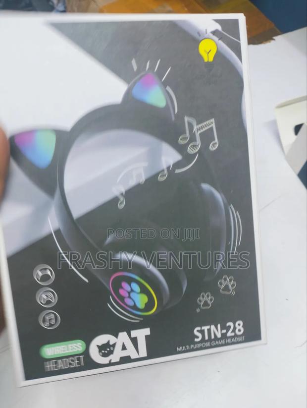 Cat Ears STN 28 Headsets - main view