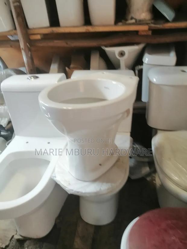 P Trap (Wc) - main view