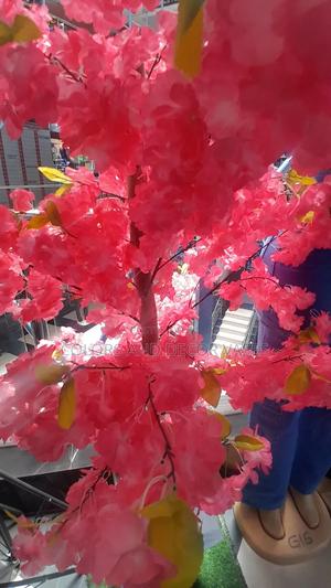 Pink Blossom Trees in Stock - thumbnail 2