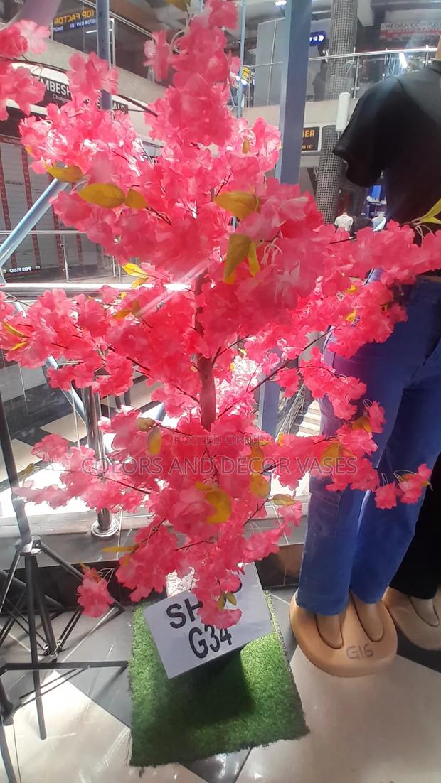 Pink Blossom Trees in Stock - thumbnail 3