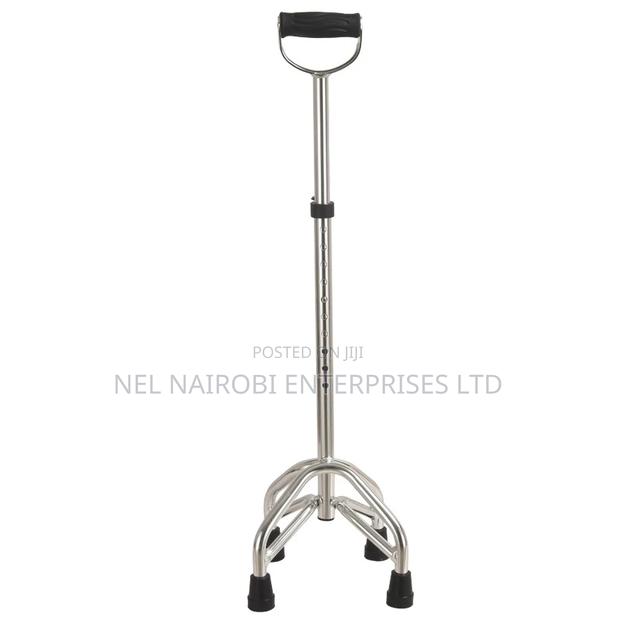 Walking Sticks (Quadruped) - thumbnail 3