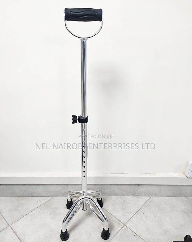 Walking Sticks (Quadruped)