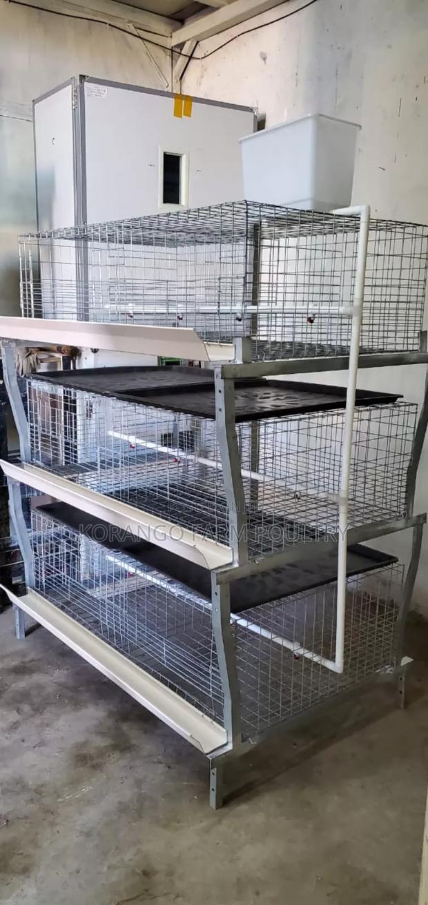 Broiler Type Chicken Cages - main view