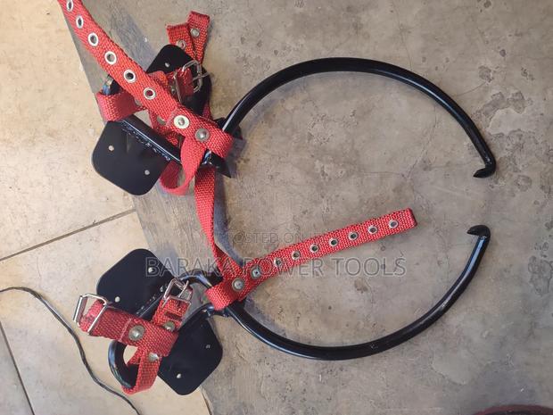 Brand New Climbers