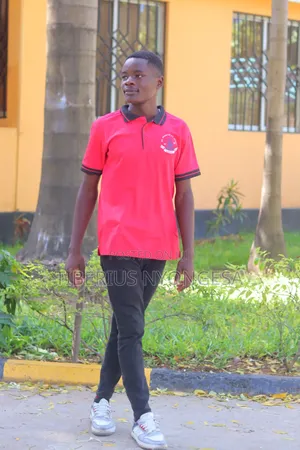 Tiberius Nyongesa CV