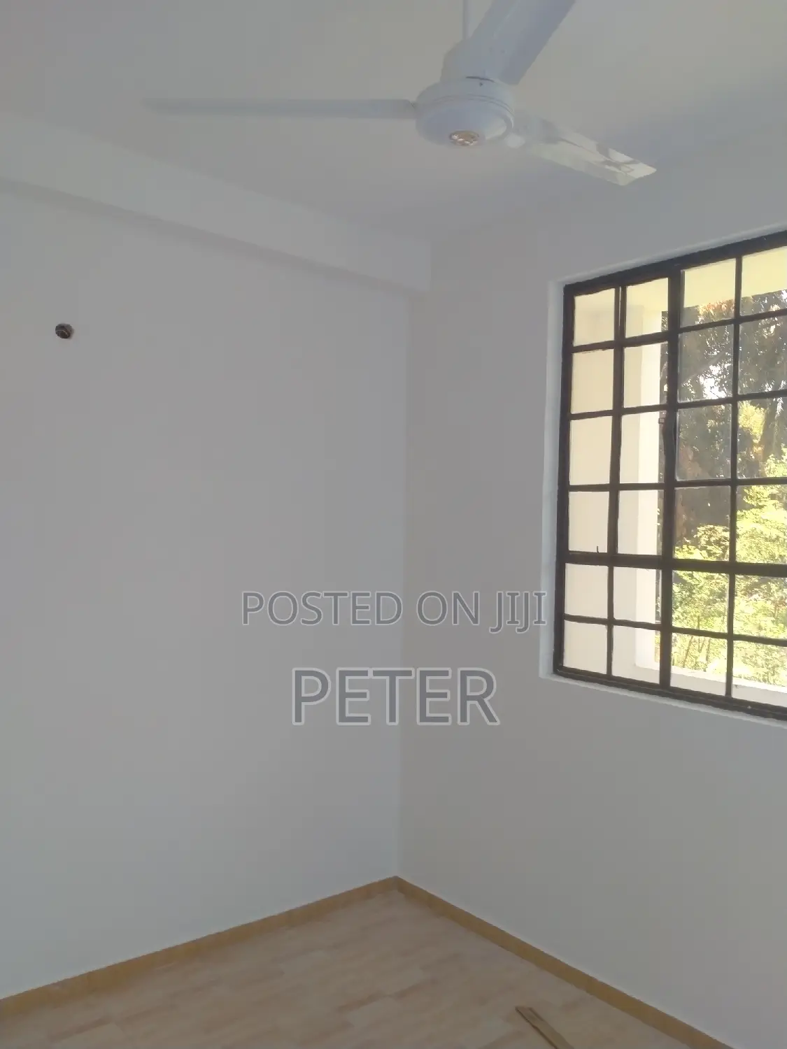 Van Interior and Exterior Decorators/Painters
