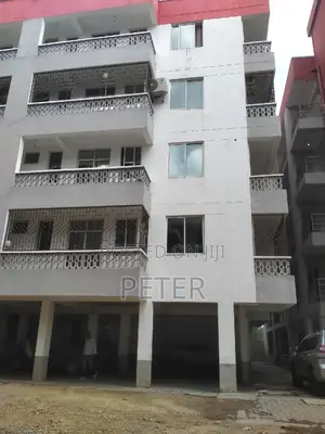 Van Interior and Exterior Decorators/Painters