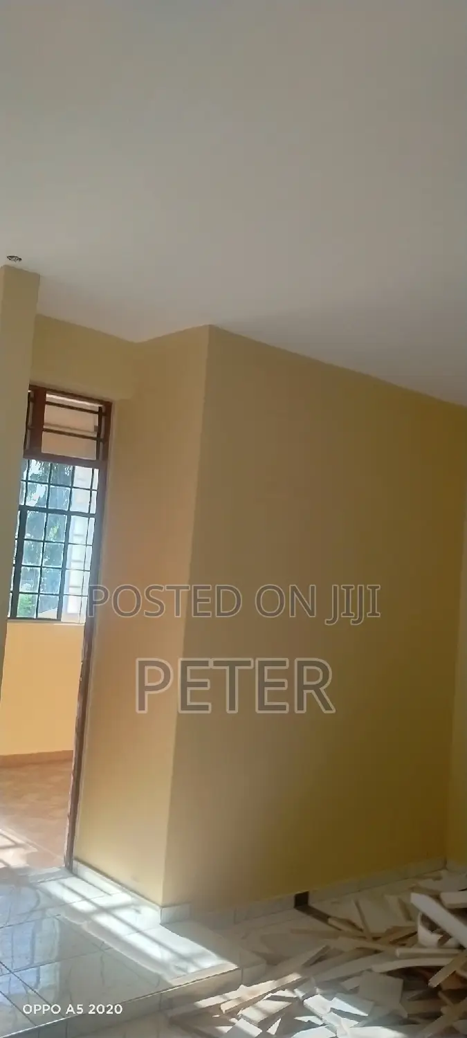 Van Interior and Exterior Decorators/Painters