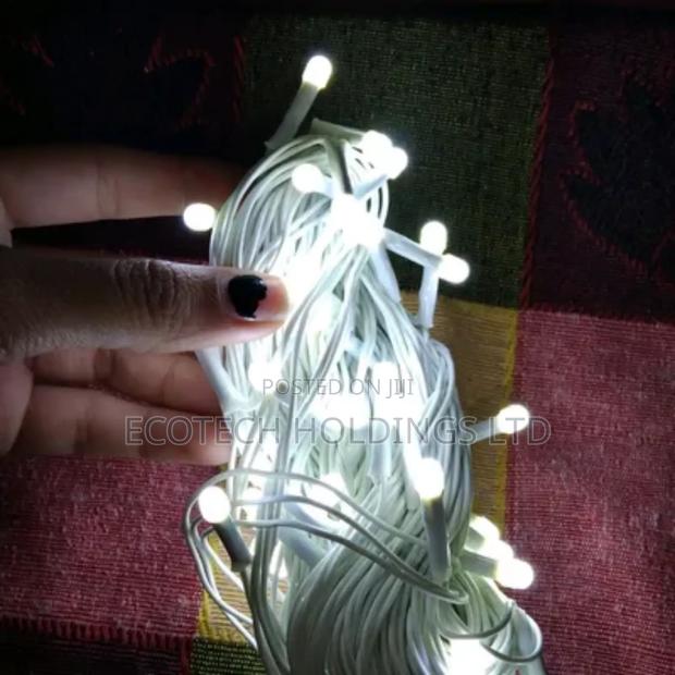 Medium Christmas Lights White Yx3 - main view
