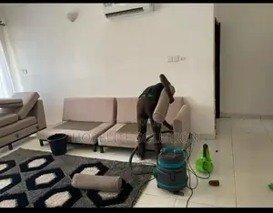 Leather Seats Vacuuming, Cleaning and Polishing