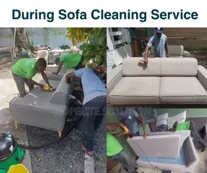 Professional and Ethical Services in Sofaset Cleaning