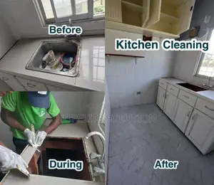 Kitchen Sinks Cleaning