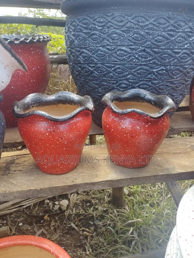 Succulents Clay Pots - main view