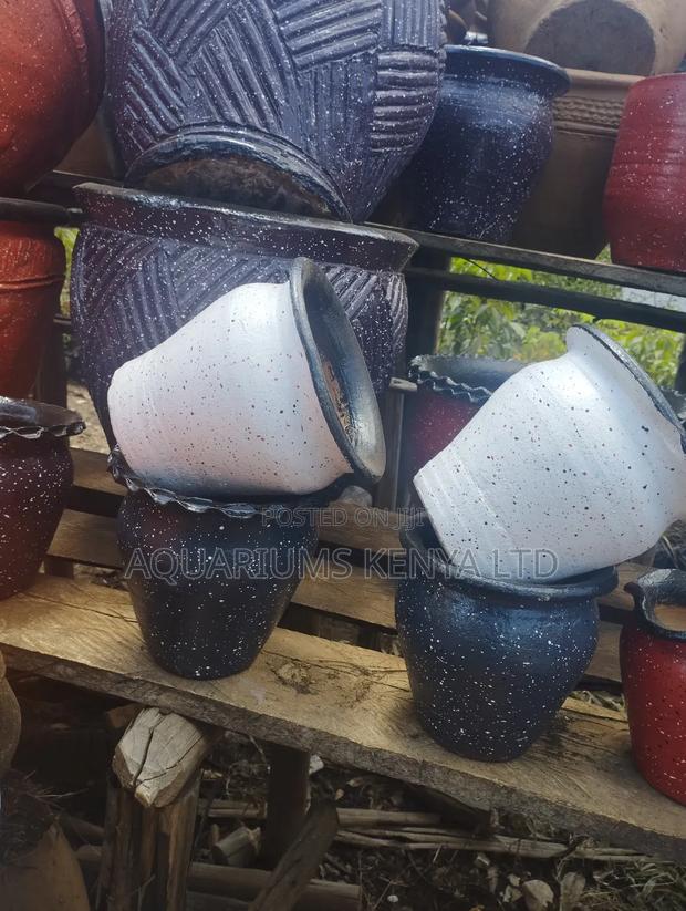 Succulents Clay Pots - thumbnail 2