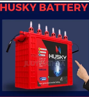 Tall Tabular Battery 2