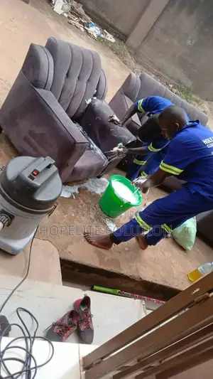 Sofa Shampooing Cleaning Services