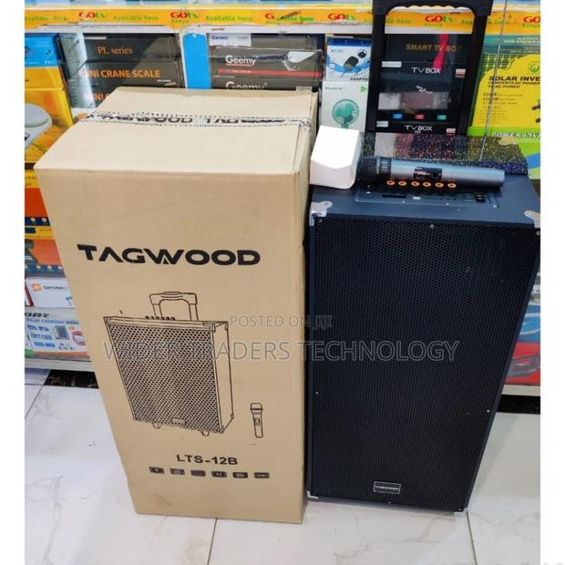 *Tagwood 12" 12B Rechargeable Portable Speaker*
*Has Double - main view
