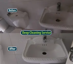 Sinks Cleaning