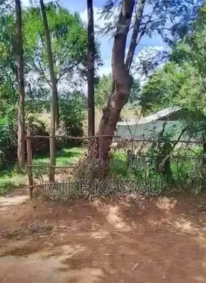 Good Fertile Land With a Three Room House 100m From Tarmac