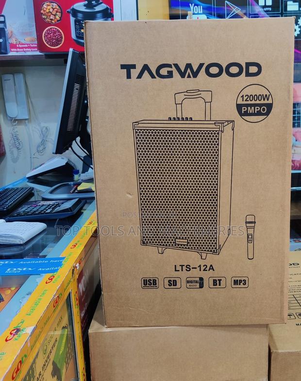 Tagwood LTS 12A Portable Trolley Speaker - main view