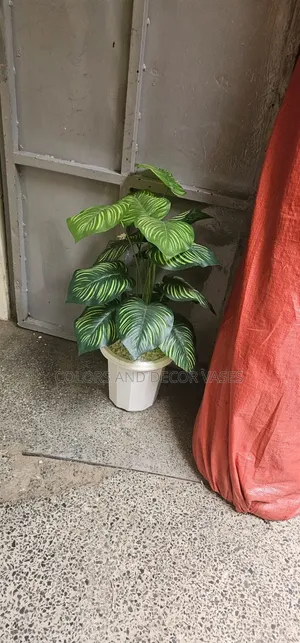 Stripped Plant With Vase Plastic on Offer Price