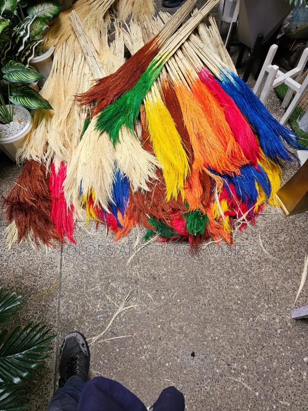 Pampas Grass Colors Available in Plenty - main view