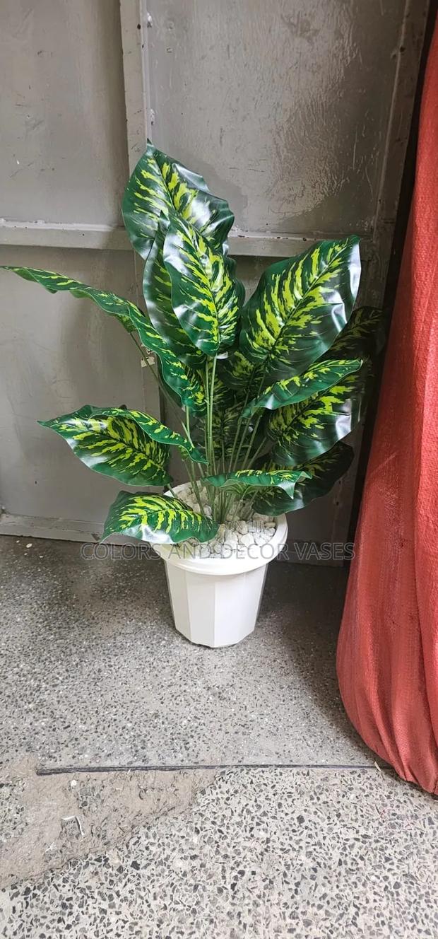 Green Yellow Beautiful Plant With Plastic Vase - main view