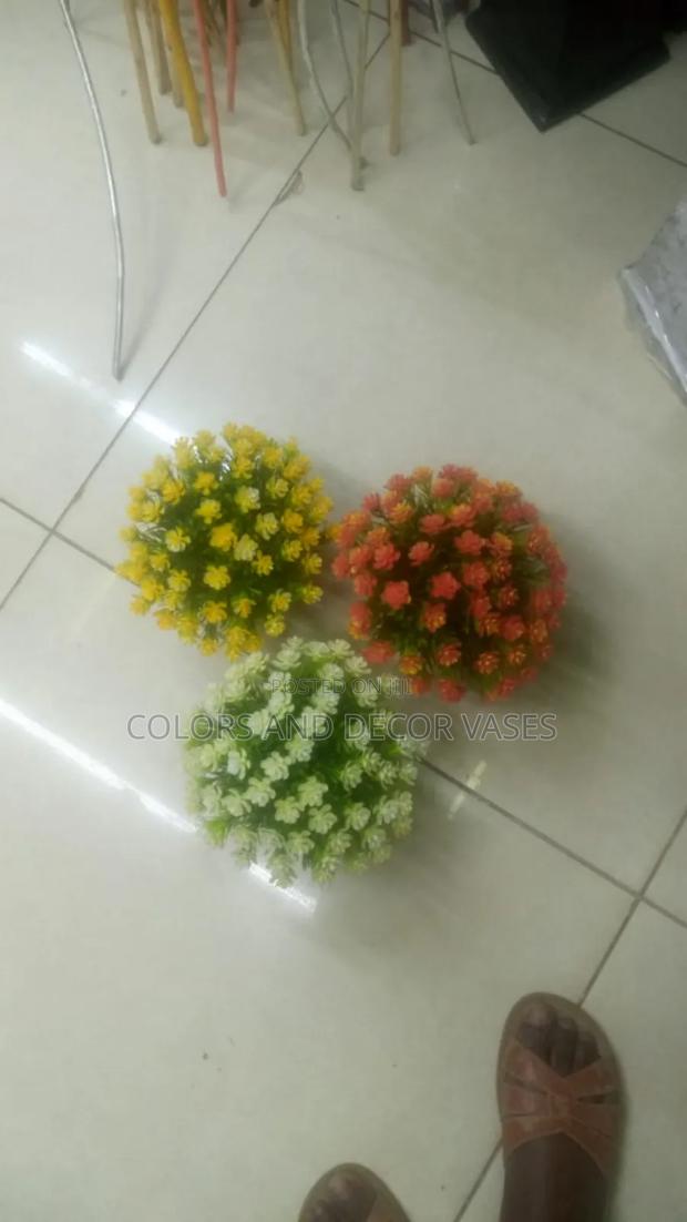 Bonsai Flowers Red,Yellow and White