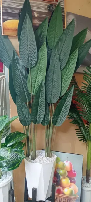 Birds Of Paradise Plant With Vase And Stand