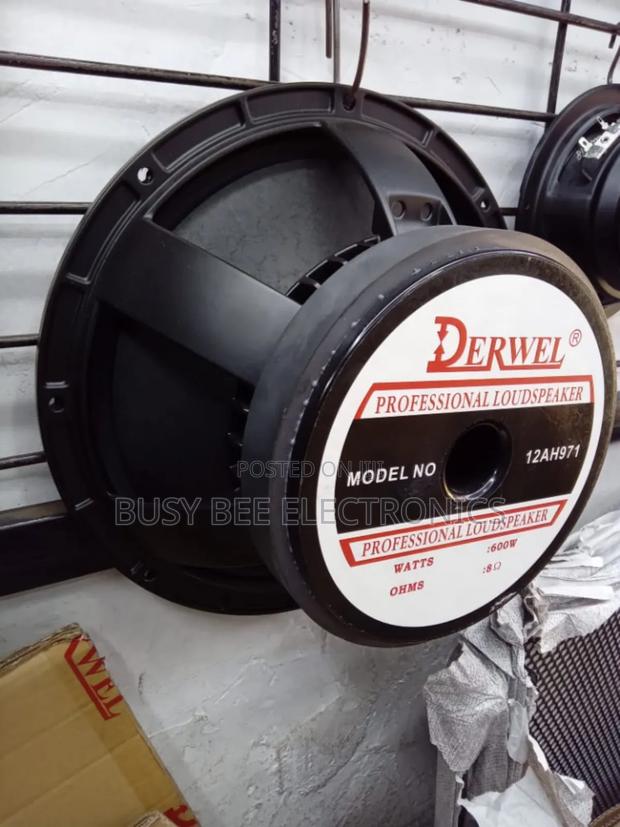 600watts 12ah 971 12" Derwel Speaker - main view