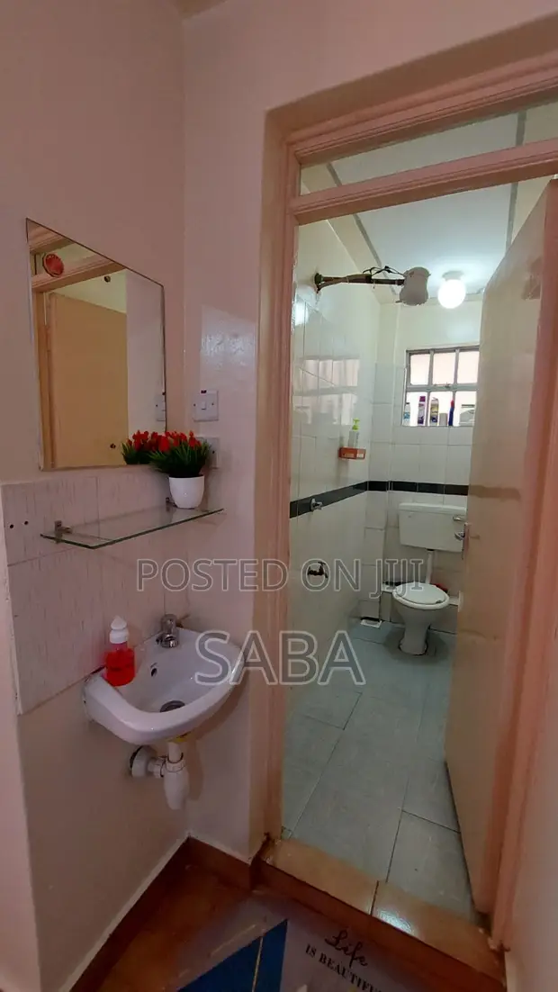 Furnished Studio Apartment in Balozi, South B for rent