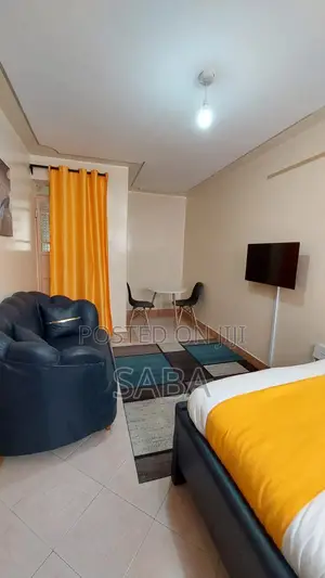 Furnished Studio Apartment in Balozi, South B for rent