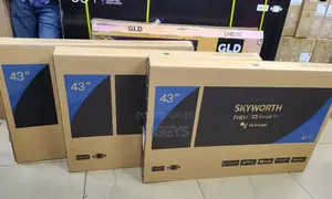 Frameless Skyworth 43 Inch Smart TV SA-44