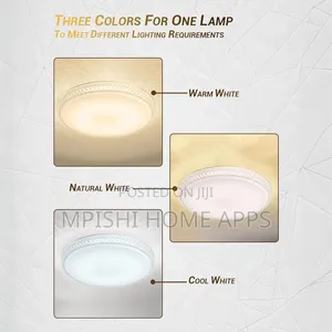 40cm Flush Mount LED Ceiling Light