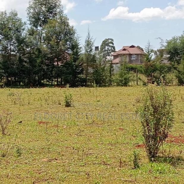 1/4 Plots Racecourse With Title