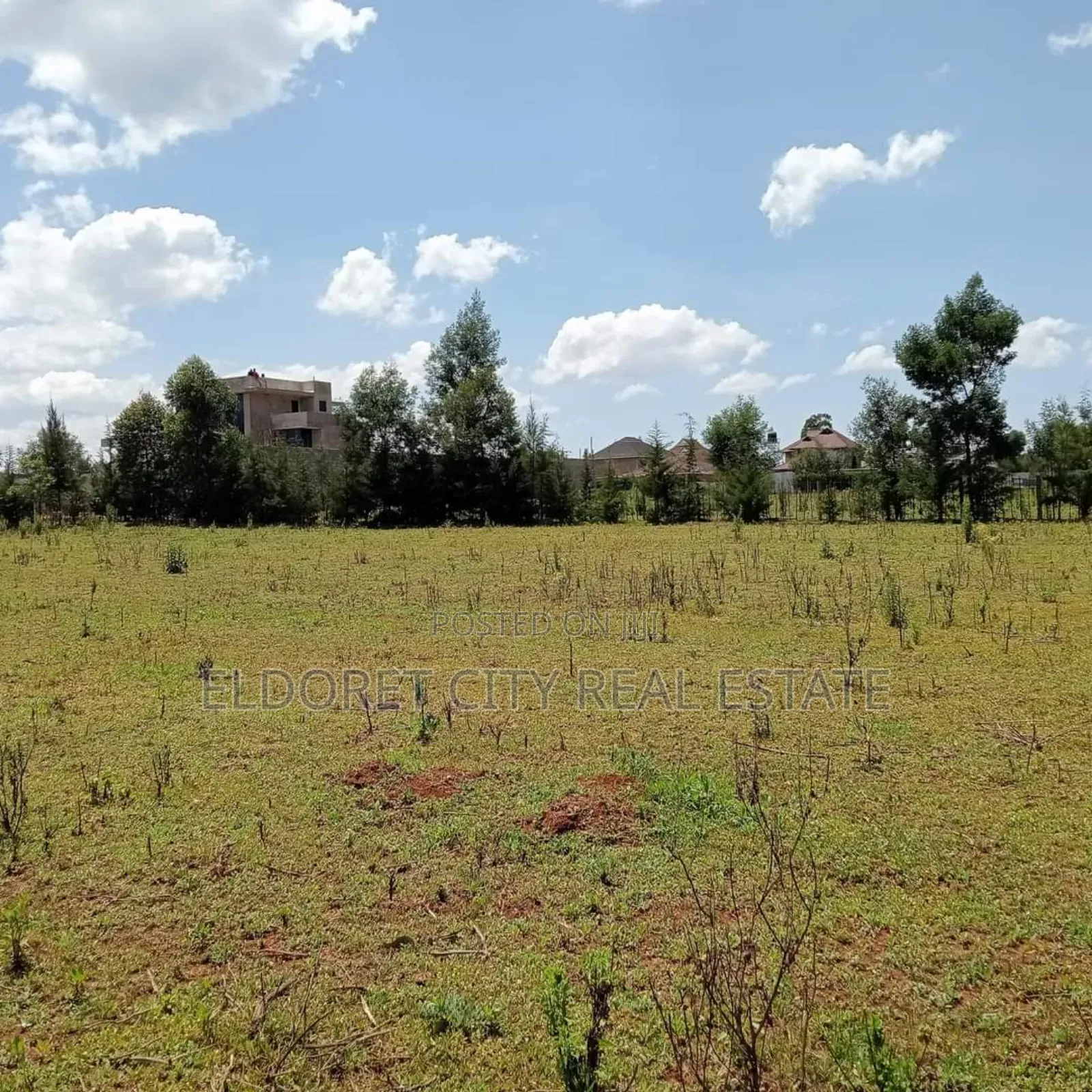 1/4 Plots Racecourse With Title
