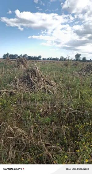 One Under 1/2 Acres Kaaboi With Title