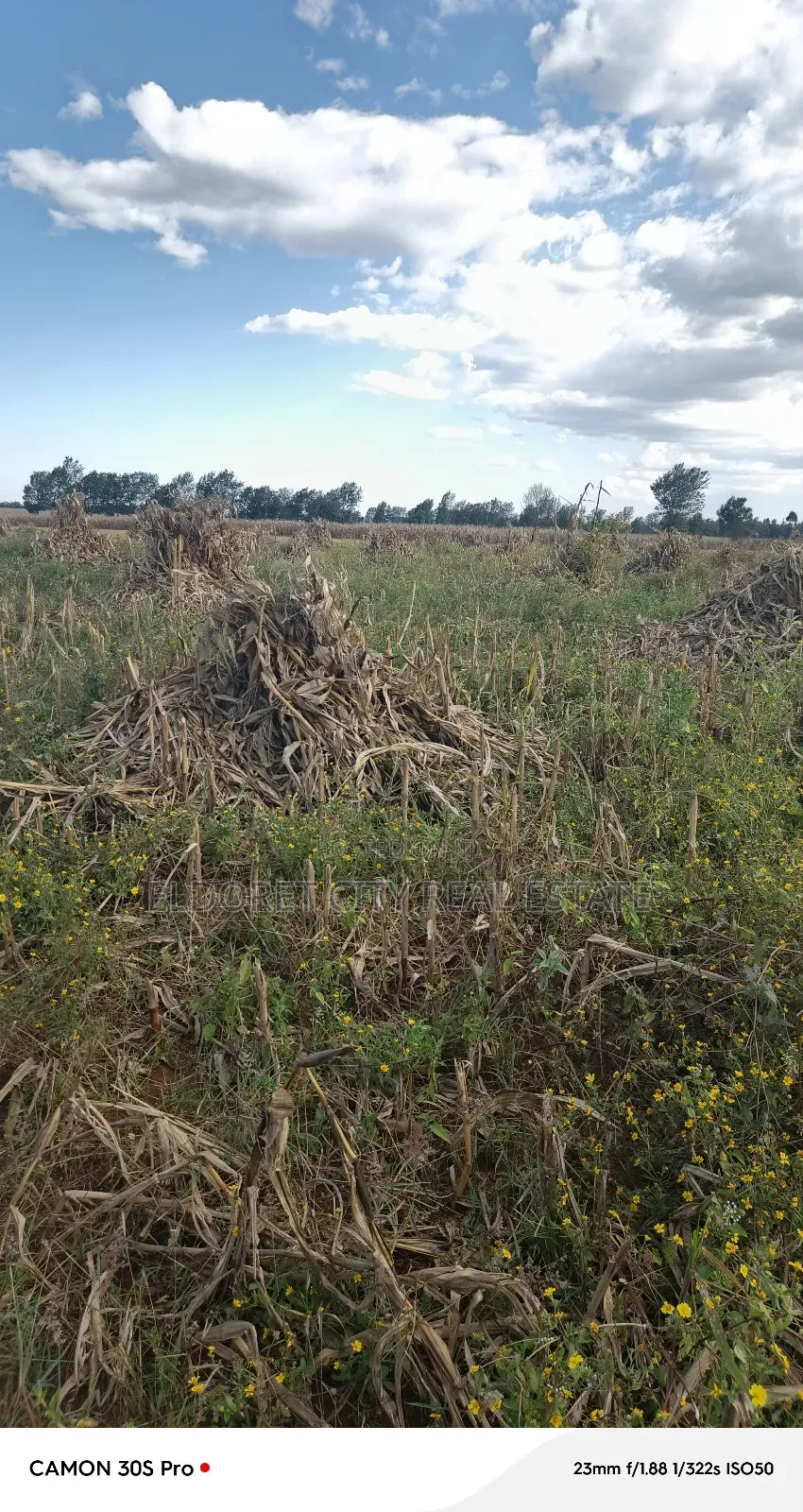 One Under 1/2 Acres Kaaboi With Title