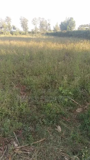 1.75 Acres for Sale in Kampi Ya Moto