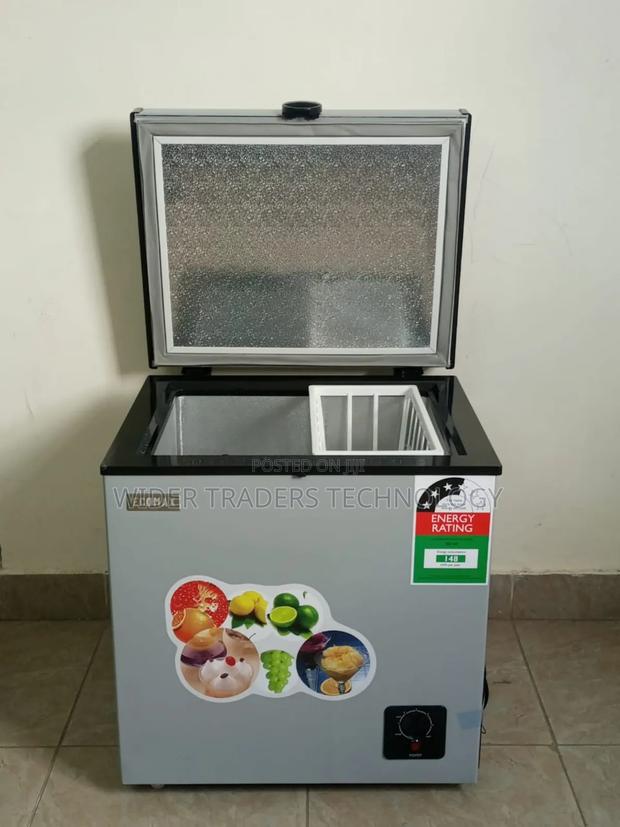 60 Litres Ecomax Deep Freezer