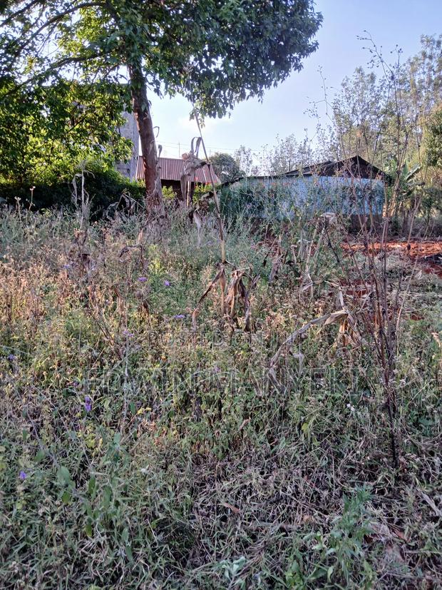 Plot for Sale - main view