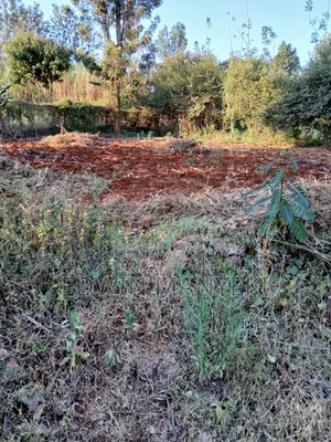 Plot for Sale