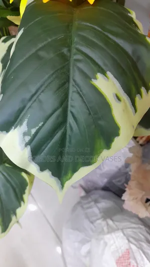 Green With a Patch of Yellow Plants Artificial