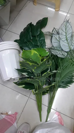 Home Deco Plants and Vases KSH 1500 Offer Price
